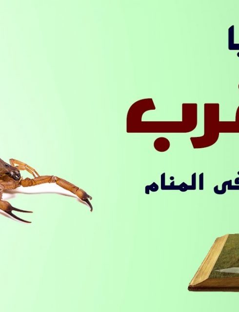 صور تفسير رؤيه العقرب في المنام