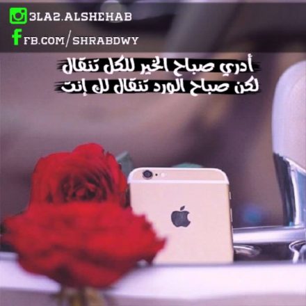 شعر صباح الخير