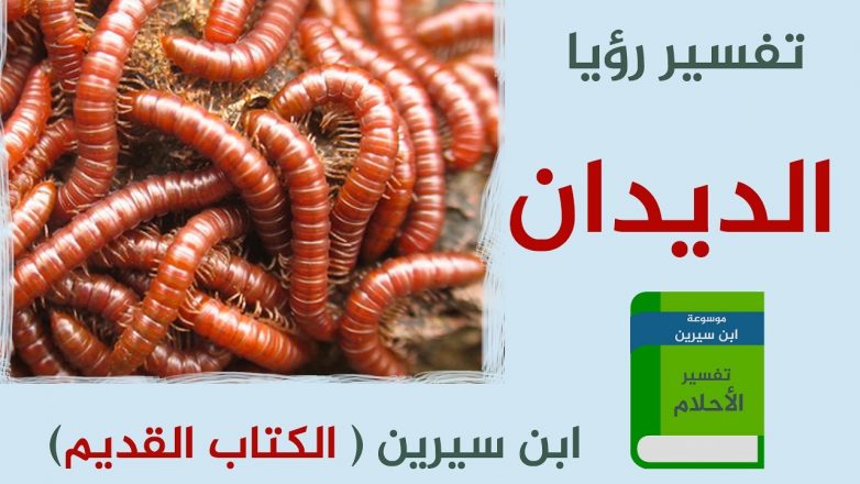 تفسير حلم رؤية الدودة