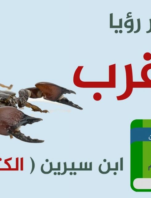 تفسير حلم رؤية العقرب