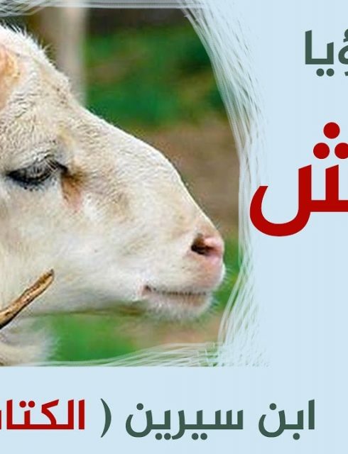 تفسير حلم رؤية الكبش في المنام