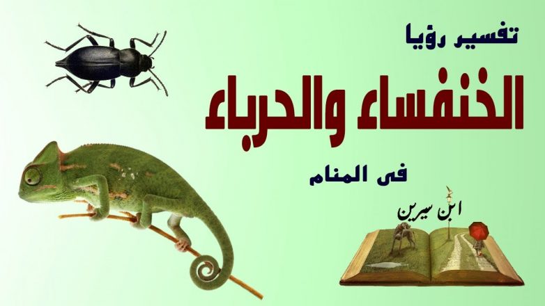 تفسير حلم الحرباء