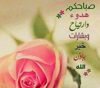 شعر صباح الخير