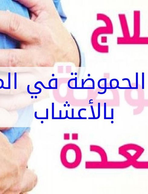 علاج حموضة المعدة بالاعشاب