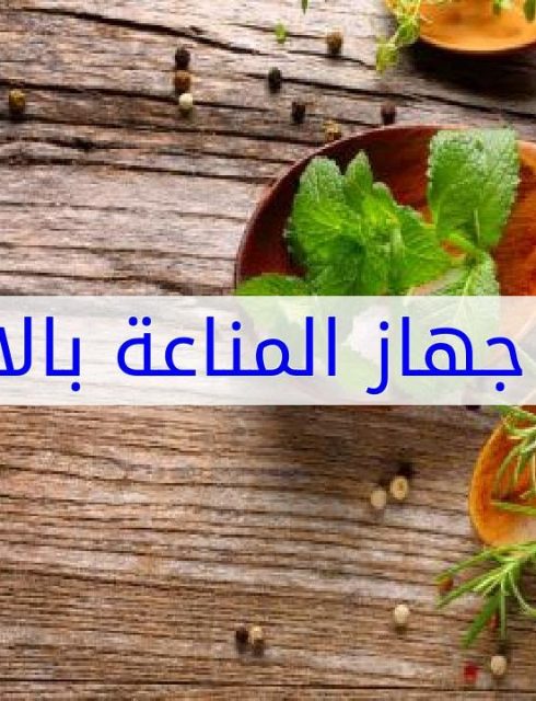 تقوية جهاز المناعة بالاعشاب