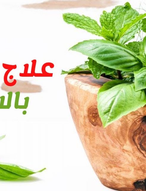 علاج البهاق بالاعشاب