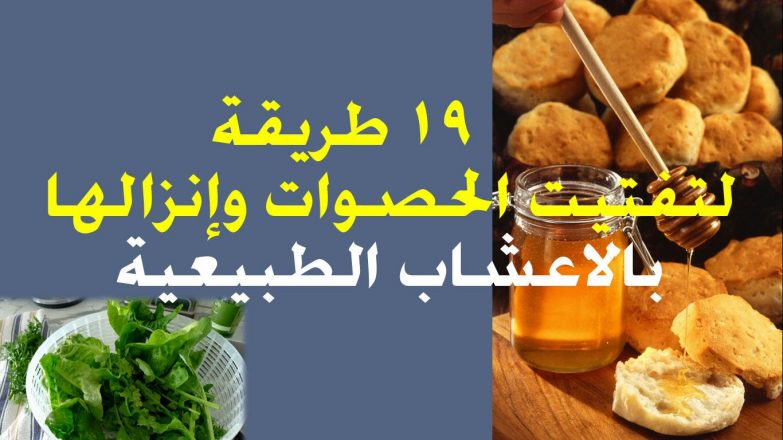 علاج حصى الكلى بالأعشاب