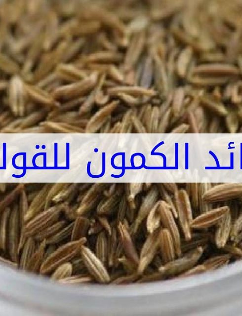 فوائد الكمون للقولون