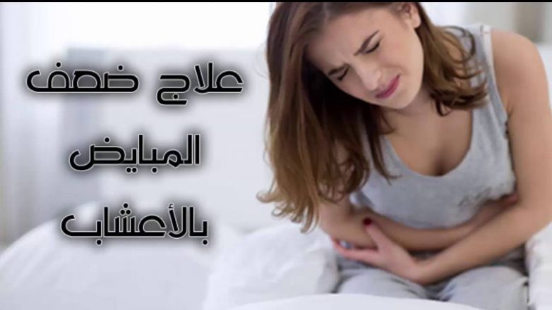 ما هو علاج ضعف المبايض بالأعشاب