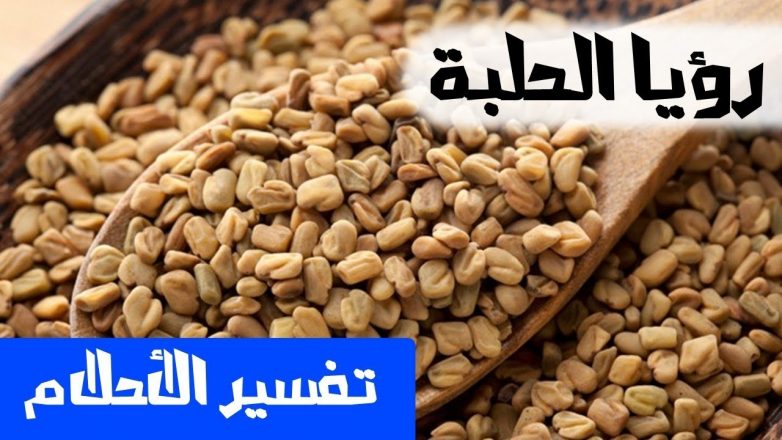 تفسير حلم رؤية الحلبة في المنام