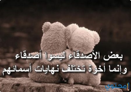 كلمات عن الصداقه