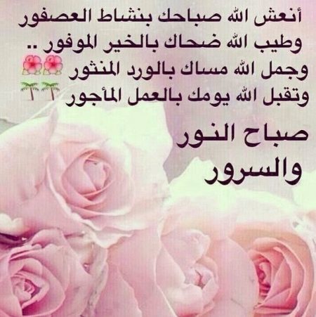 اشعار صباح الخير